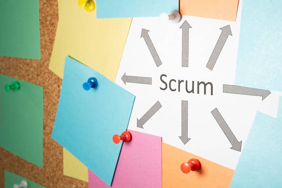 agile scrum roles